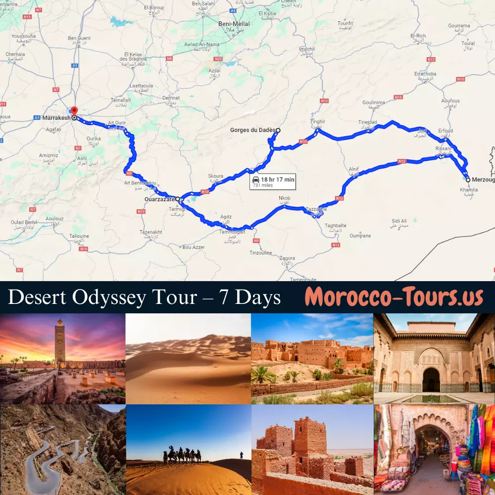 Desert Odyssey Tour - 7 Days